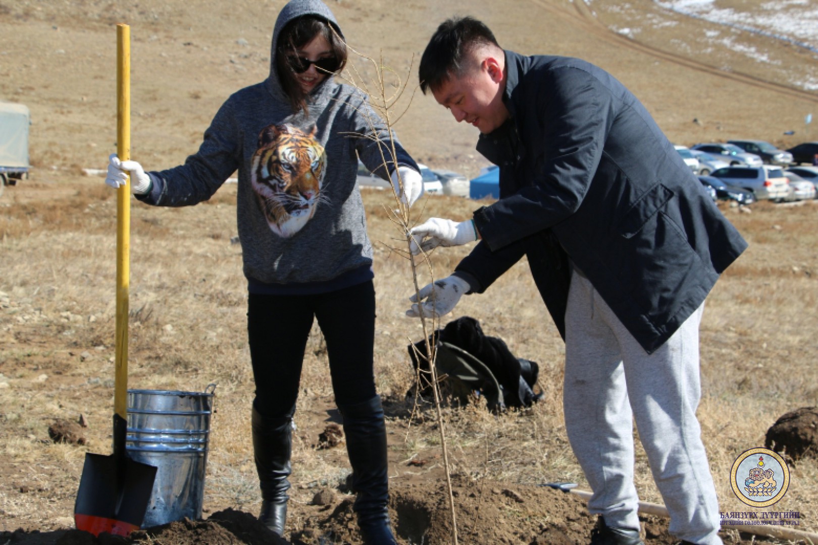 “Мод тарих үндэсний өдөр”-ийн хүрээнд Баянзүрх дүүргийн ИТХ ын албан хаагчид 200 шинс мод тарилаа