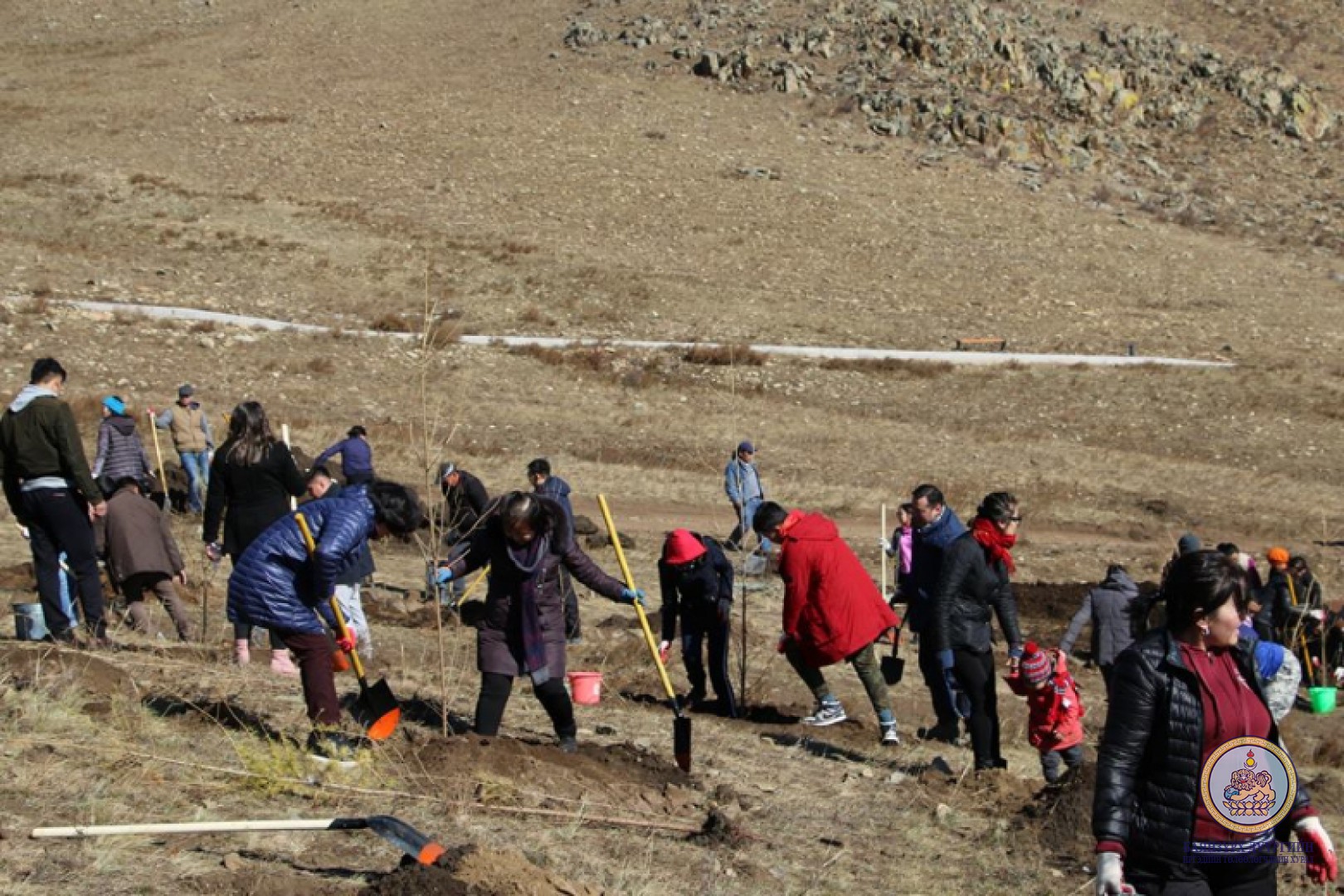 “Мод тарих үндэсний өдөр”-ийн хүрээнд Баянзүрх дүүргийн ИТХ ын албан хаагчид 200 шинс мод тарилаа