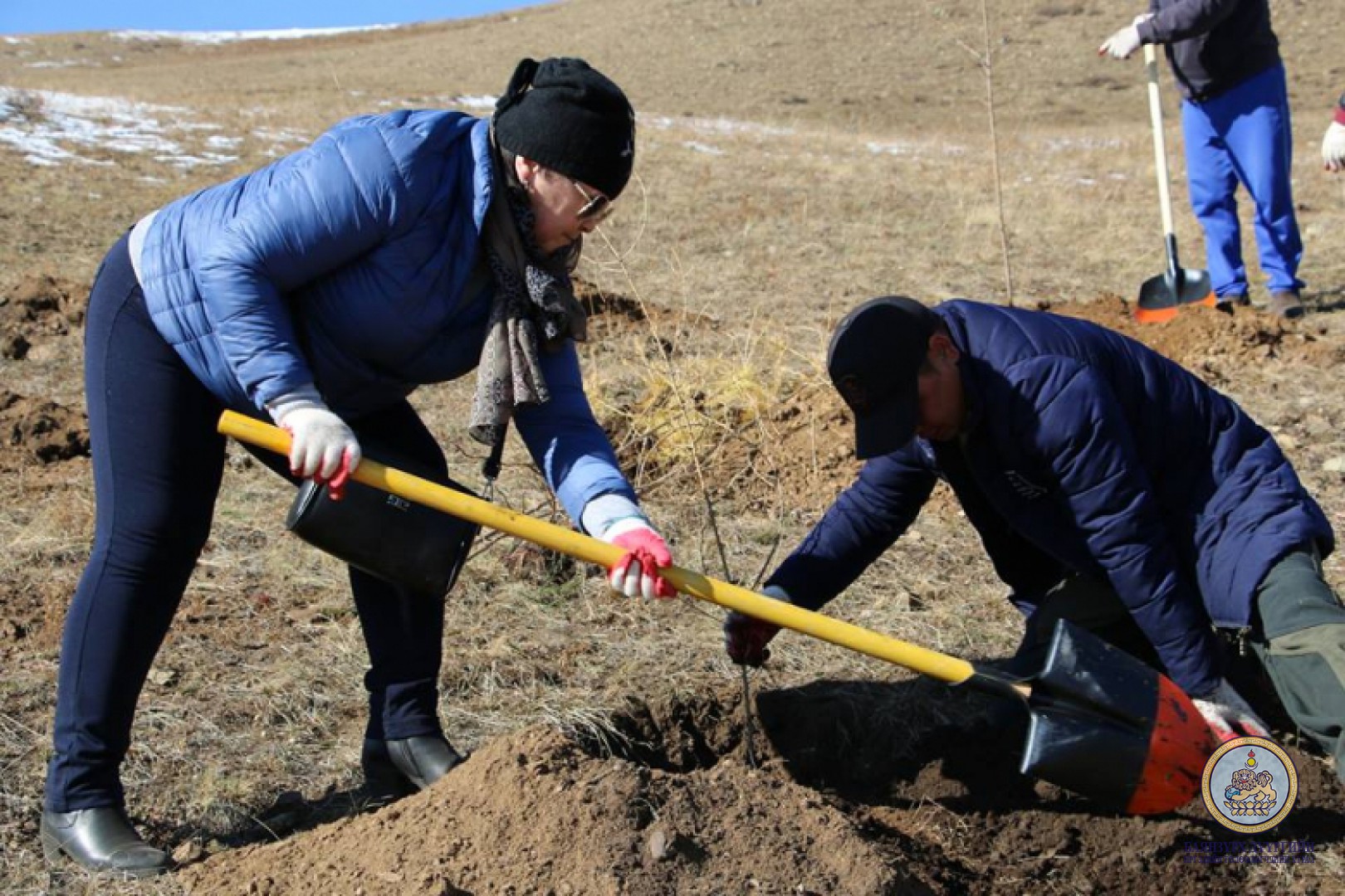“Мод тарих үндэсний өдөр”-ийн хүрээнд Баянзүрх дүүргийн ИТХ ын албан хаагчид 200 шинс мод тарилаа