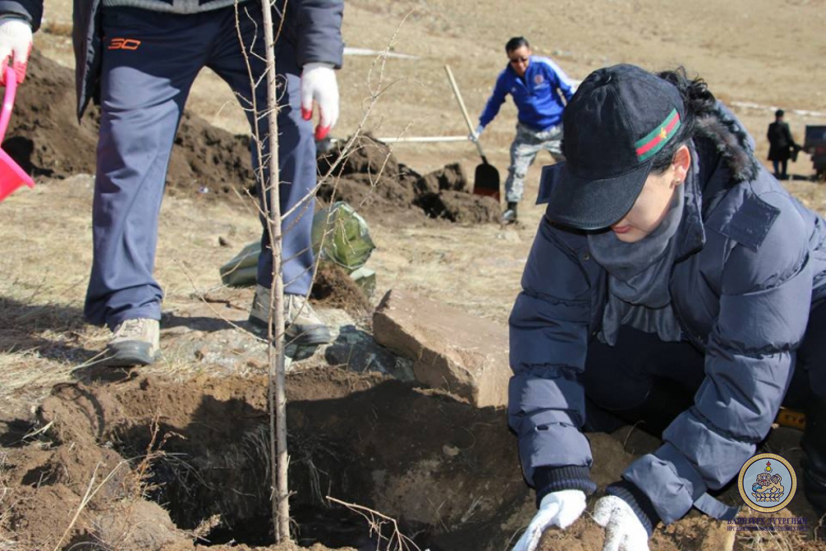 “Мод тарих үндэсний өдөр”-ийн хүрээнд Баянзүрх дүүргийн ИТХ ын албан хаагчид 200 шинс мод тарилаа