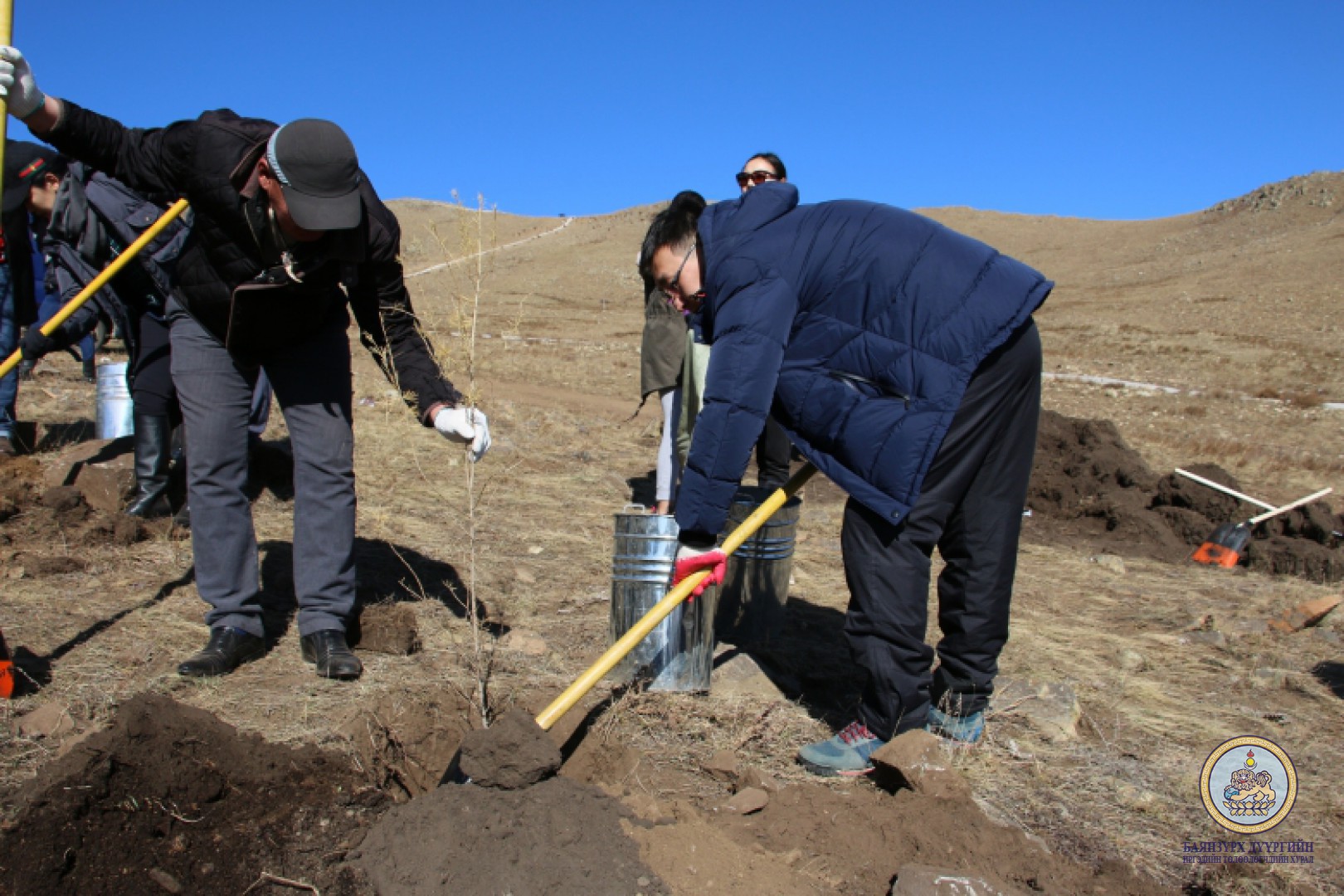 “Мод тарих үндэсний өдөр”-ийн хүрээнд Баянзүрх дүүргийн ИТХ ын албан хаагчид 200 шинс мод тарилаа